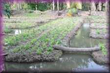 Landbouw
